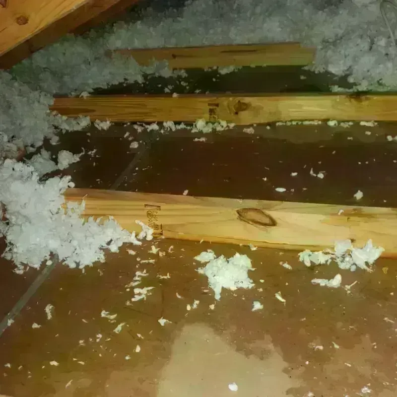 Attic Water Damage in Marion, WI