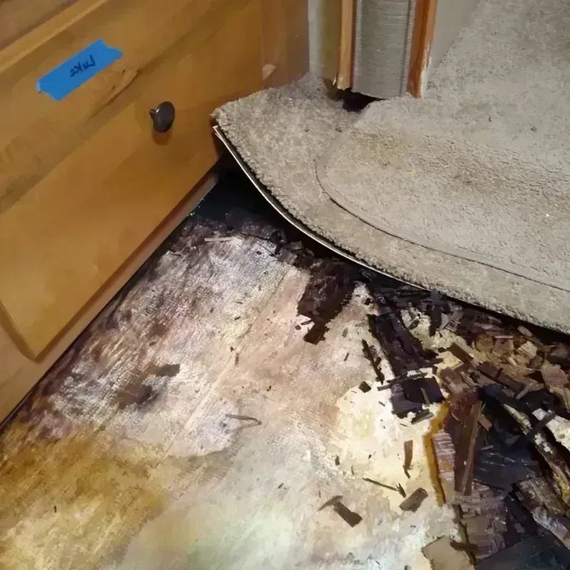 Wood Floor Water Damage in Marion, WI